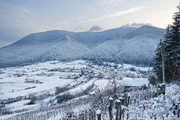 Znate li gdje se nalazi Šar planina?