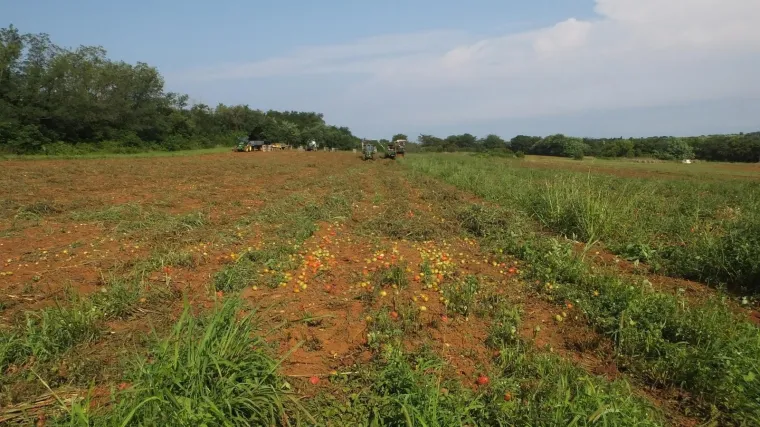 '&Scaron;to mi u Hrvatskoj plaćaju 1000 eura, u mojoj domovini bi bilo 500. A i dobar mi je stil života ovdje'