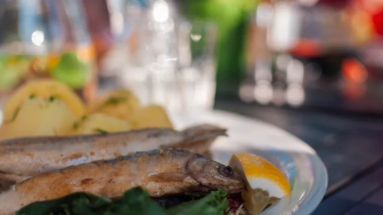 U koje vrste riba spada velika ozimica?