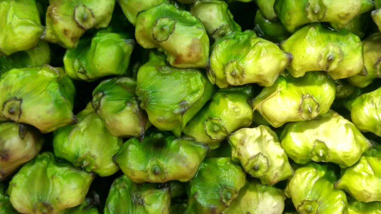 Koliko poznajete biljku vodeni ora&scaron;ac?