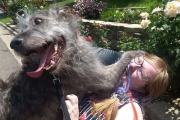 DANAŠNJI IZAZOV IZDRŽAT ĆE SAMO NAJBOLJI: Probajte ostati ozbiljni do kraja galerije