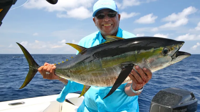 Koliko poznajete ribu zvanu žuta tuna?