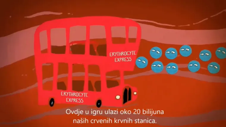 Ministarstvo objavilo video lekcije iz biologije