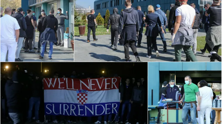 BBB-ovci imaju novu veliku akciju; Ovo je broj spasa za najugroženije