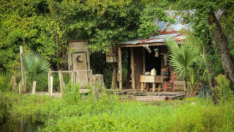 Repičina pipa i kako je suzbiti na vrijeme
