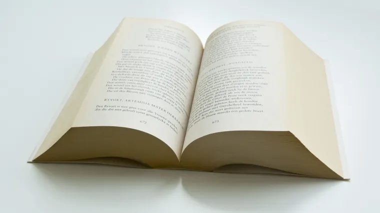 Proza - definicija ili &scaron;to je to proza?