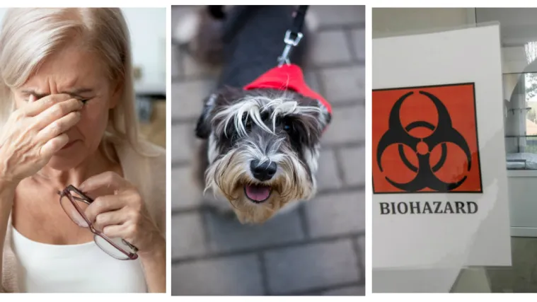 Neki zahtjevi za propusnice su nevjerojatni: 'Moram ići ošišati psa jer je zarastao'