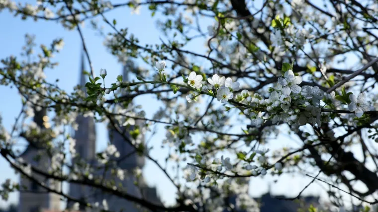 Meteorolog otkrio kada stižu sunčaniji i topliji dani, ali ipak - ostanite doma