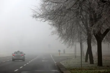 Evo što kaže Dunja Mazzocco Drvar