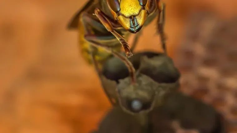 Str&scaron;ljeni zimi