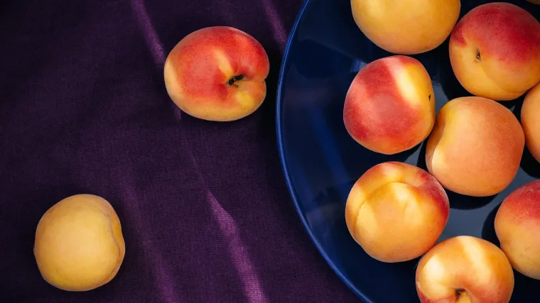 &Scaron;upljikavost lista marelice: Bolest koja se na listovima i plodu javlja u obliku okruglih pjega