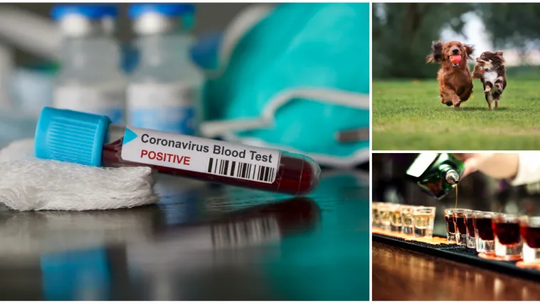 Prenose ga ljubimci, ubija ga alkohol: Ovo su sve teorije zavjere o koronavirusu na jednom mjestu