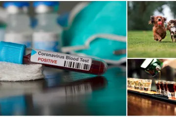 Prenose ga ljubimci, ubija ga alkohol: Ovo su sve teorije zavjere o koronavirusu na jednom mjestu