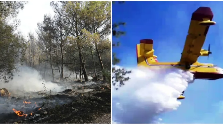 Buknuo treći požar na Viru u 10 dana: 'Upozoravali smo, ali netko se očito igrao vatrom'