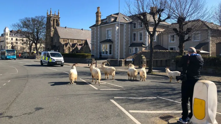 'Žao mi je, ali nisu držale potreban razmak od dva metra'