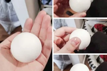 Može li bolje? Ove fotografije su toliko savršene da ih nećete moći prestati gledati