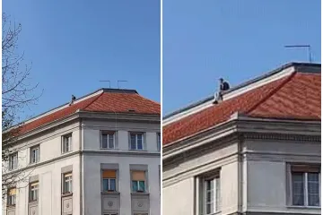 Mladić se popeo na visoki krov, stigla policija, a intervencija na kraju nije bila potrebna