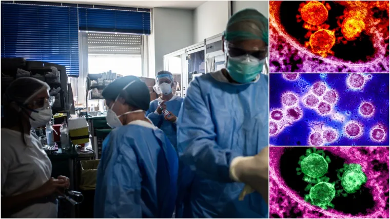 Od kuda je virus do&scaron;ao, kako je pre&scaron;ao na čovjeka i za&scaron;to ubija samo neke