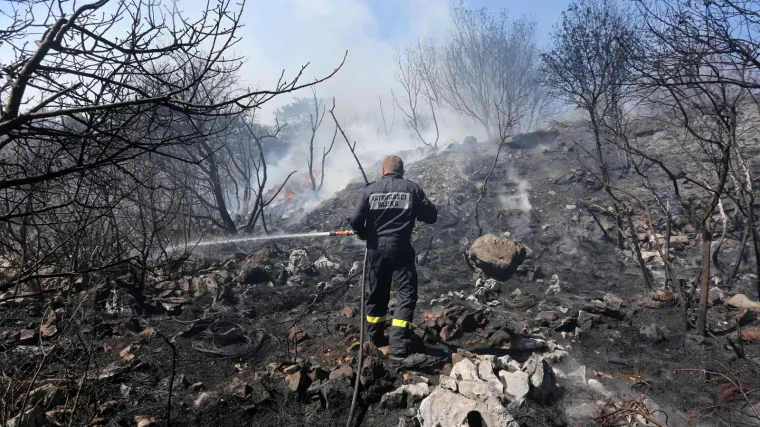 I dalje je aktivan požar na području krcatom prirodnim bogatstvima