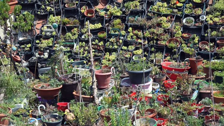 &Scaron;to raditi u vrijeme izolacije? Uredite vrtove i balkone i uživajte u pogledu na ono &scaron;to ste posadili