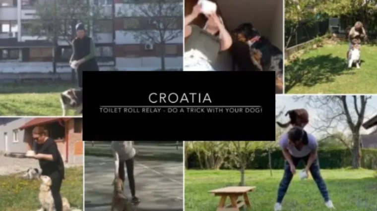 Uključite se i vi u ''Toilet roll relay challenge'' sa svojim psićima kako biste se zabavili u izolaciji!