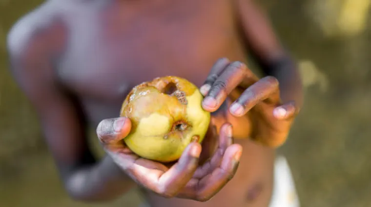 Alarmantno upozorenje: Gotovo 135 milijuna ljudi u 55 država na rubu gladi