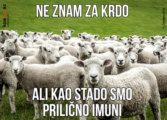 &Scaron;i&scaron;anje