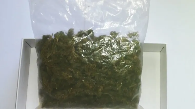 Mladić lagao policiji da ga na granici čeka lijek - do&scaron;la mu marihuana