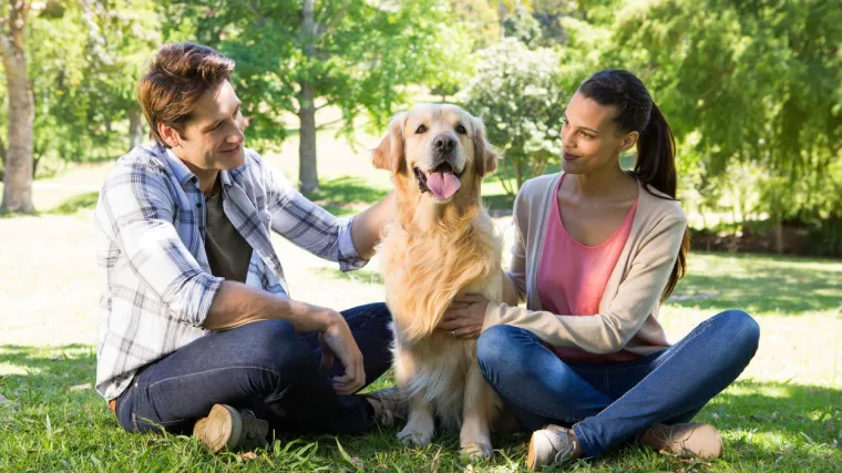 Evo &scaron;to morate znati kako bi va&scaron; &scaron;tenac izrastao u zdravog psa