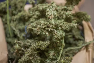 Pala četvorica: Policija kontrolirala propusnice pa pronašli marihuanu