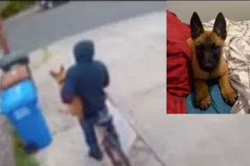 Ona po cijele dane skrbi o zaraženima i onda joj se ovako vrati. Snimka će vas razbjesniti