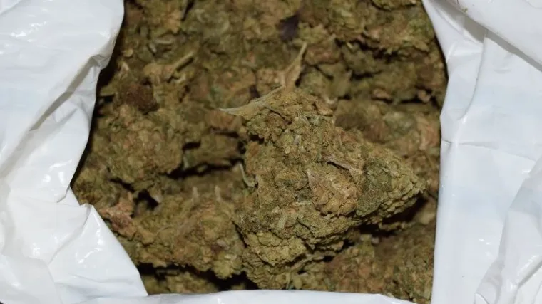 U kući 44-godi&scaron;njaka pronađena marihuana i laboratorij za uzgoj