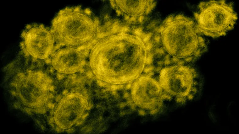 Koronavirus mutira, kao i svaki virus: Hoće li postati opasniji?