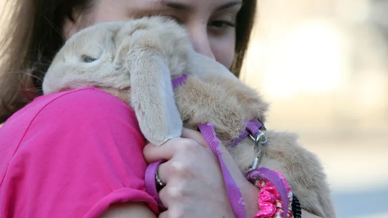 Plač i tuga na Spomengaju, krematoriju za kućne ljubimce: 'Čekali su da se oprostim'