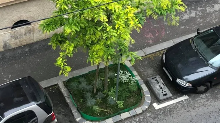 U centru Zagreba zasadili mali vrt pa ih netko tužio Gradu: 'Žao mi je &scaron;to postoji netko kome ovo smeta'