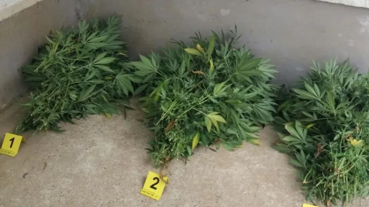 Zagrebačka policija ga uhitila, terete ga za preprodaju