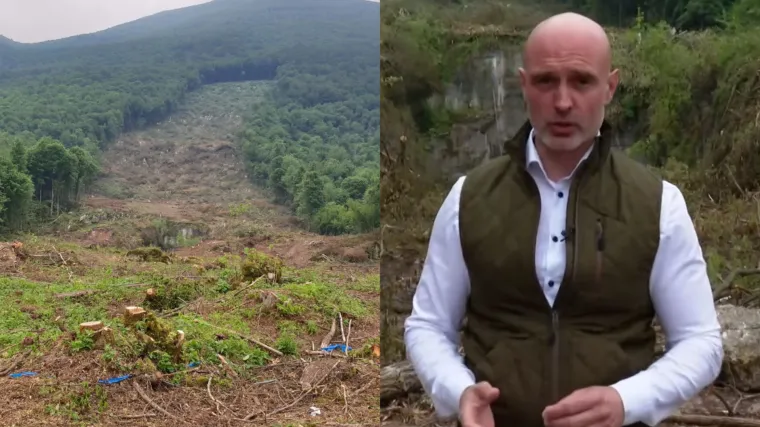 Hrvatske &scaron;ume krče &scaron;umu na granici s BiH zbog migranata: RTL-ov Boris Mi&scaron;ević donosi detalje