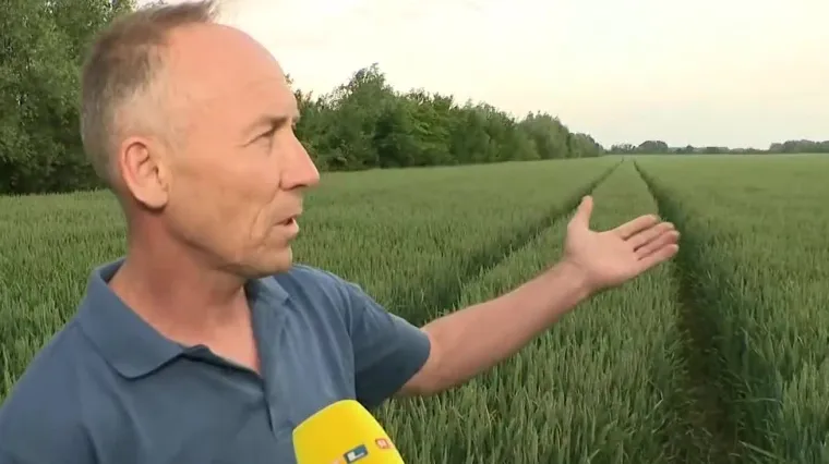 Za RTL objasnio sudbinu p&scaron;enice: 'Izvest ćemo, a Hrvati će kupovati 20 puta skuplji proizvod iz izvoza'