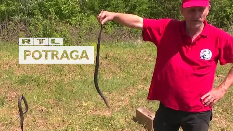 Priče koje lede krv u žilama! 'Otvorila sam pećnicu, a ona je bila smotana kao burek...'