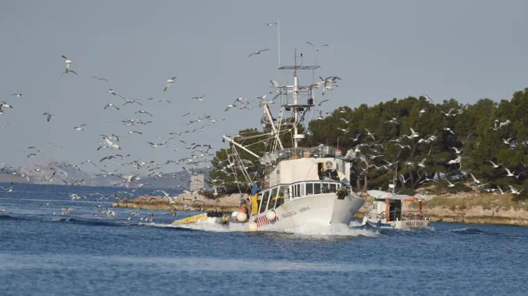 Porečki ribar ostao bez potpore zbog - tri lipe! 'Pa vi&scaron;e ih je ko&scaron;tao taj dopis nego &scaron;to sam ja dužan'