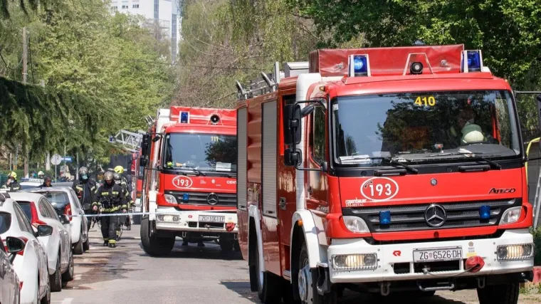 Karlovački vatrogasci iz Korane izvukli četiri mlade patkice