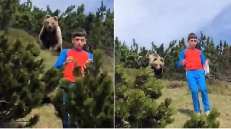 Hrabri 12-godi&scaron;njak očarao svijet: Pogledajte kako se mladi Talijan bez straha ponio prema ogromnom medvjedu
