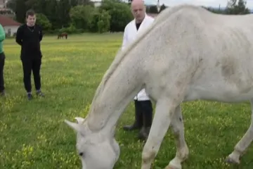 Studenti Visokog gospodarskog učilišta u Križevcima opet obavljaju praktičnu nastavu
