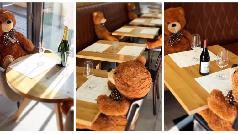 Pli&scaron;ani medvjedi kao dru&scaron;tvo za stolom u restoranu: 'Gostima je osmijeh zagarantiran'