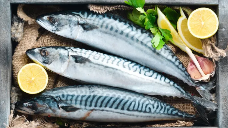 Pogledajte za&scaron;to se sku&scaron;a mora če&scaron;će naći na va&scaron;em tanjuru