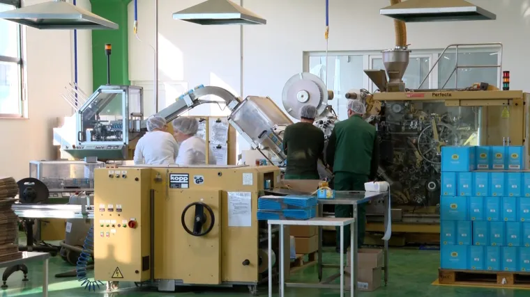 Kriza potopila domaću ekonomiju, analitičar upozorava: 'Glavni udar nas tek čeka'