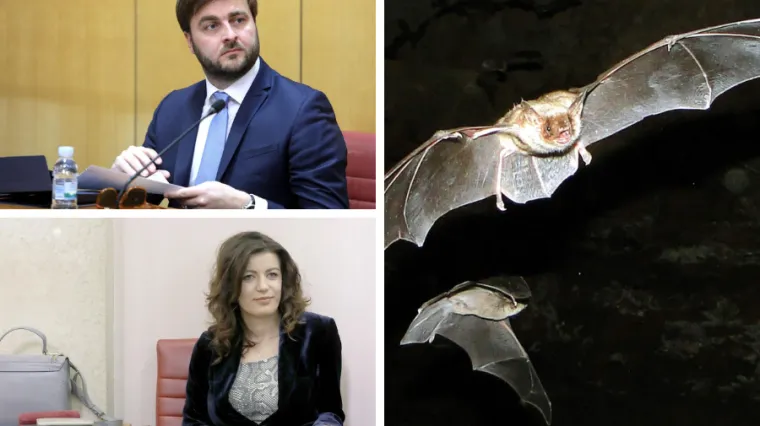 Afera 'Vjetroelektrane': Kakve veze imaju &scaron;i&scaron;mi&scaron;i, Josipa Rimac i ministar Tomislav Ćorić?