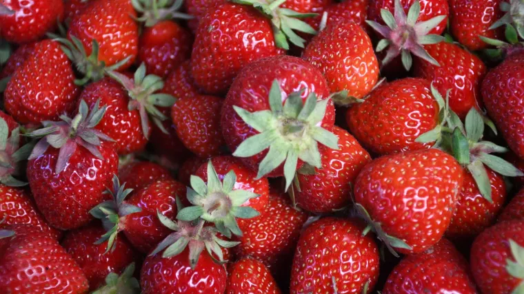 Ukrao desetke kilograma jagoda i napravio više tisuća kuna štete