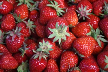 Ukrao desetke kilograma jagoda i napravio više tisuća kuna štete