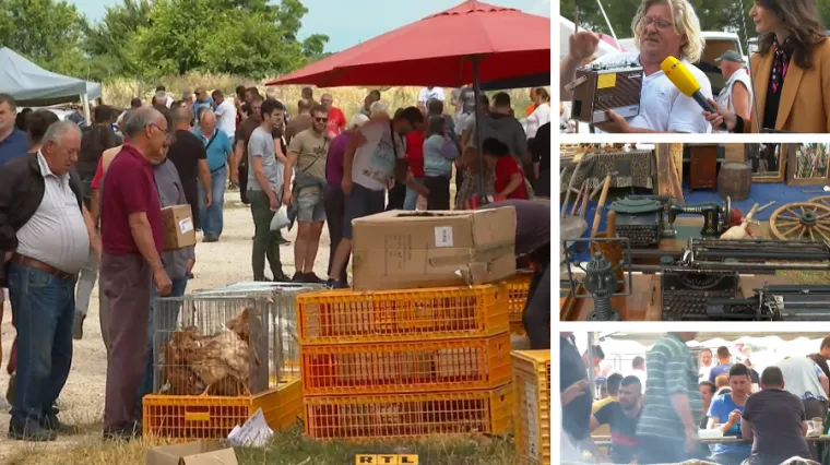 Svinje, traktori, &scaron;ivaće ma&scaron;ine: Bili smo na legendarnom sajmu u Benkovcu - prvom od epidemije